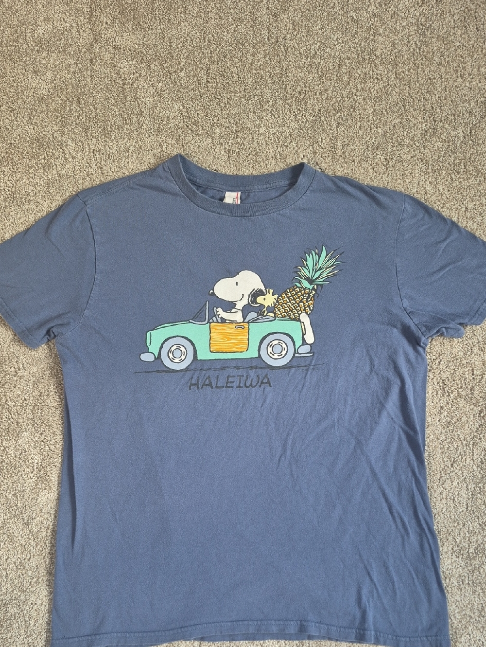 Iconic Peanuts Snoopy And Woodstock Pineapple Graphic Tee -